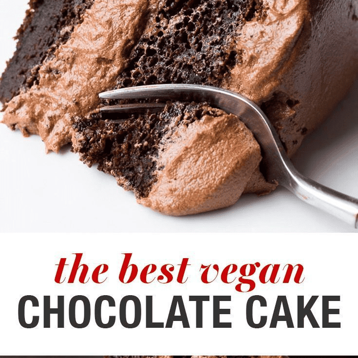 5 Ingredient Vegan Chocolate Cake